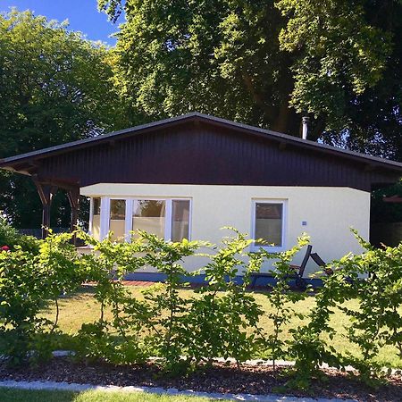 Ferienhaus Boddenhus グロヴェ エクステリア 写真